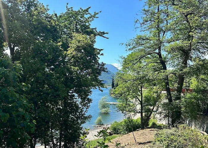 Modern With Balcony & View